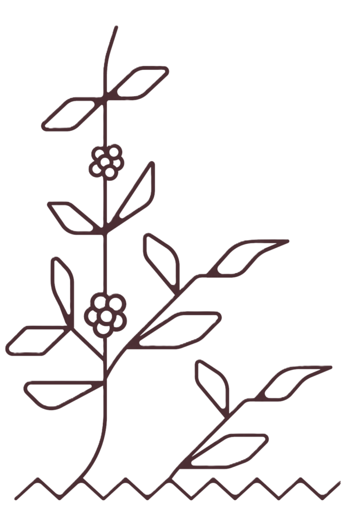 Árbol de café